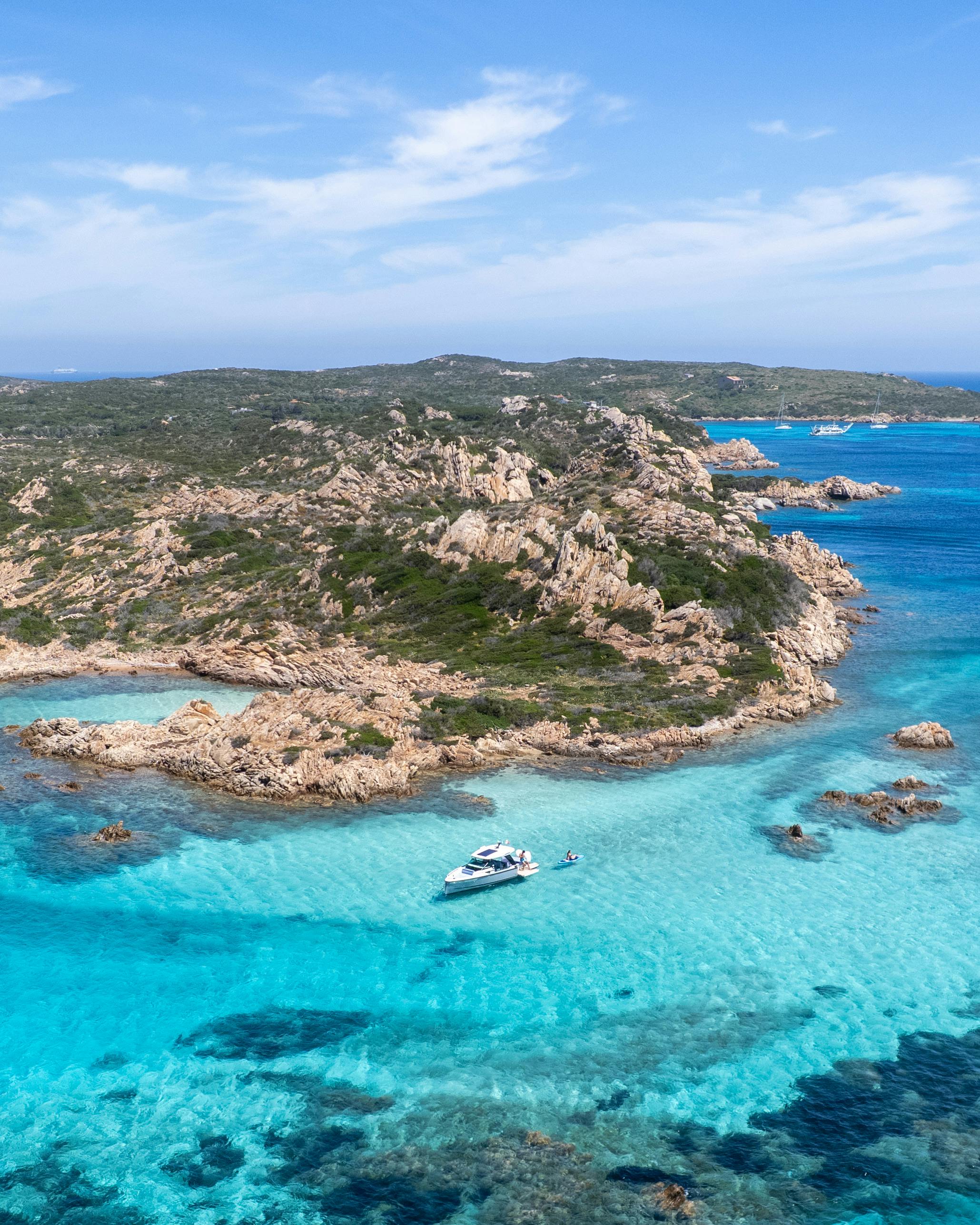 Tour in gommone da Olbia: avvistamento delfini a Capo Figari